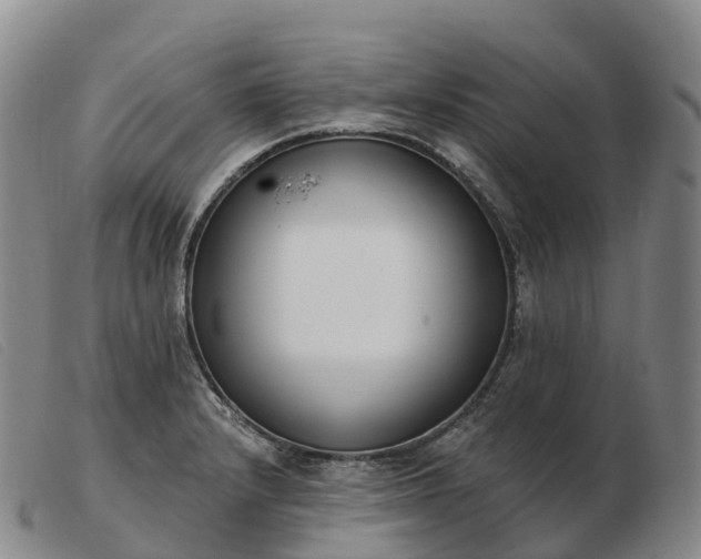 X0000103461232200809191804