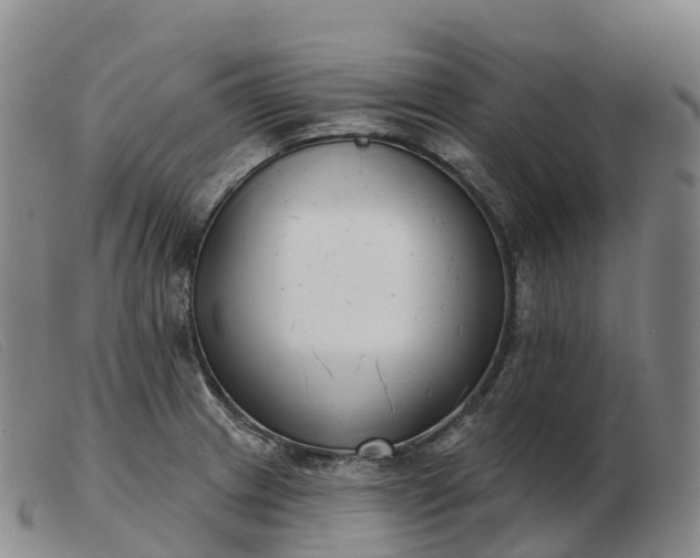 X0000103461233200809191804