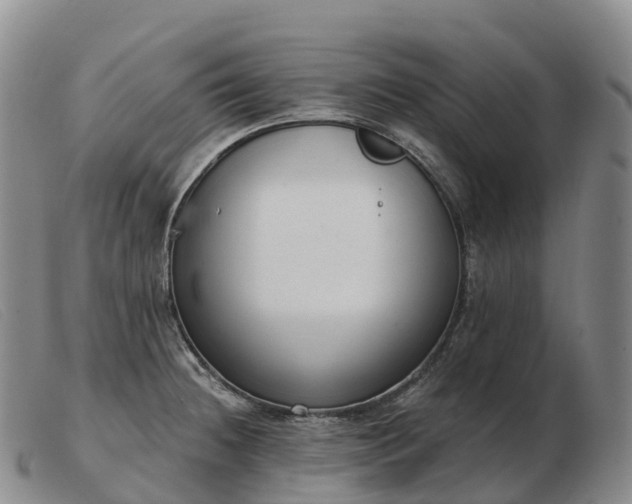 X0000103461236200809191804