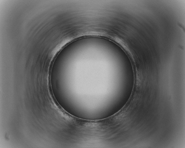 X0000103461237200809191804