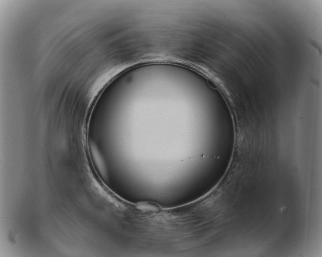 X0000103461239200809191804