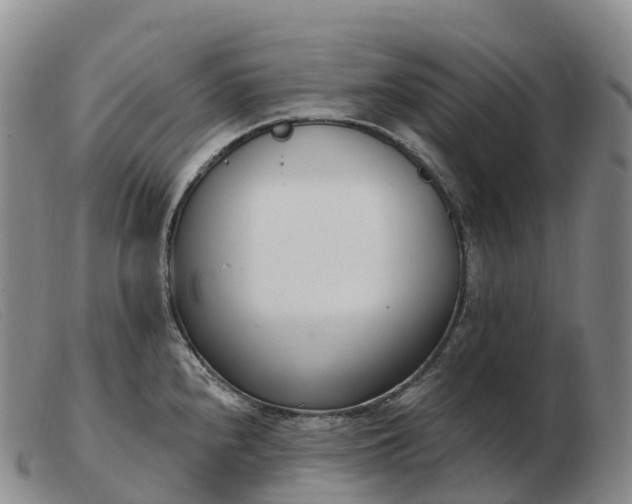 X0000103461240200809191804