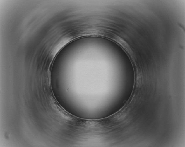 X0000103461242200809191804