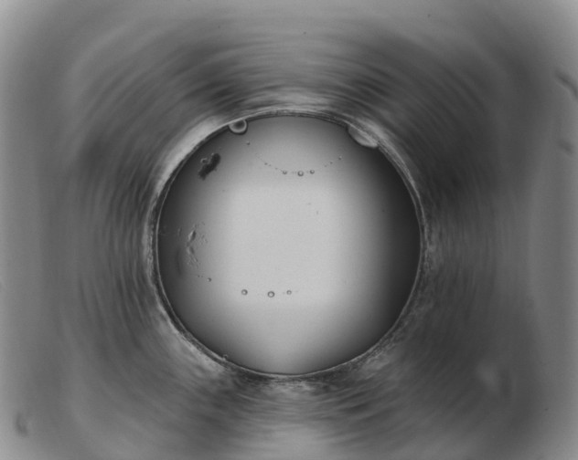 X0000103461243200809191804