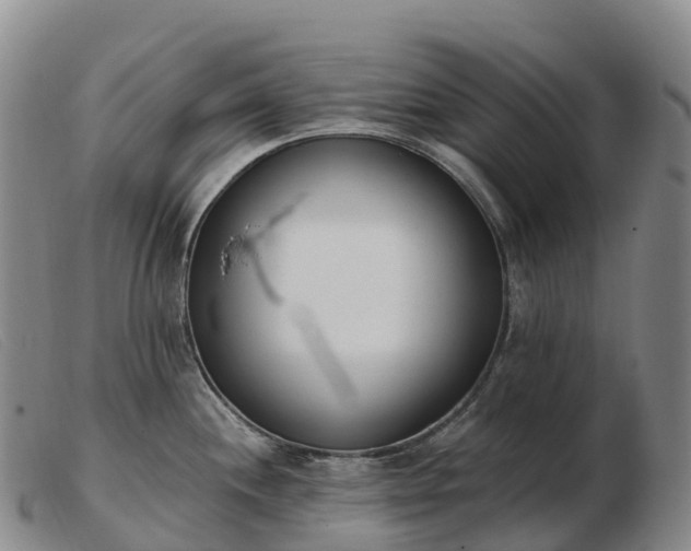 X0000103461244200809191804