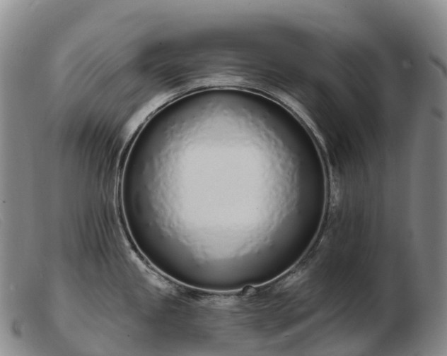 X0000103461245200809191804