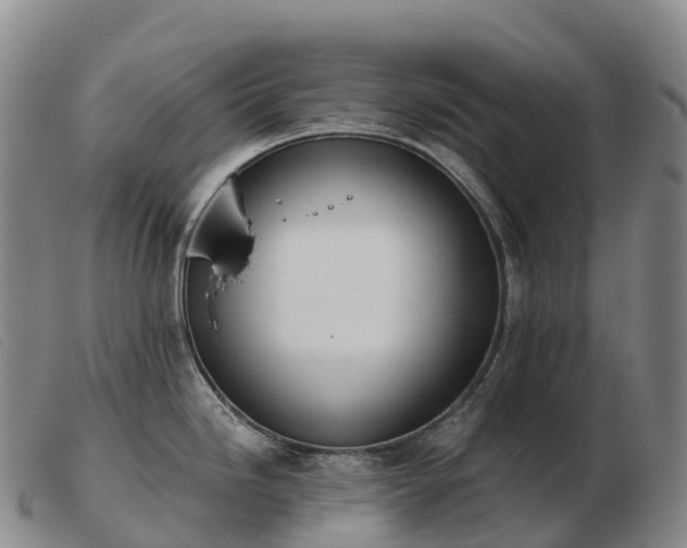 X0000103461246200809191804