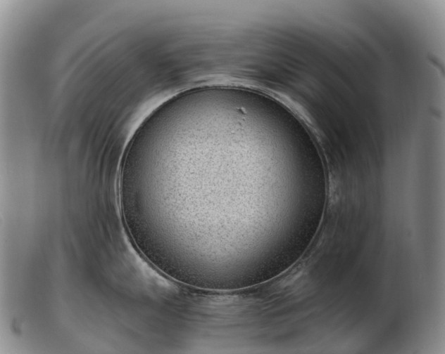 X0000103461247200809191804