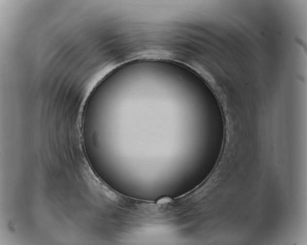 X0000103461248200809191804