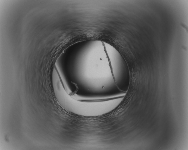 X0000103461249200809191803