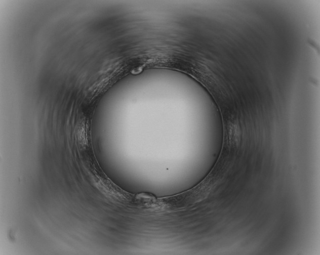 X0000103461250200809191803