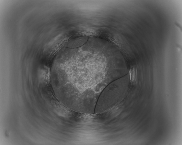 X0000103461251200809191803