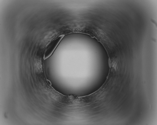 X0000103461252200809191803