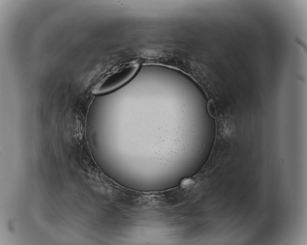 X0000103461253200809191803