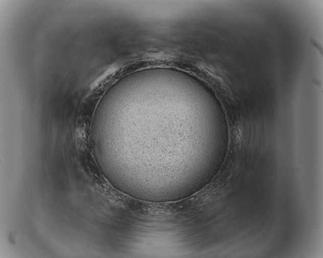 X0000103461254200809191803