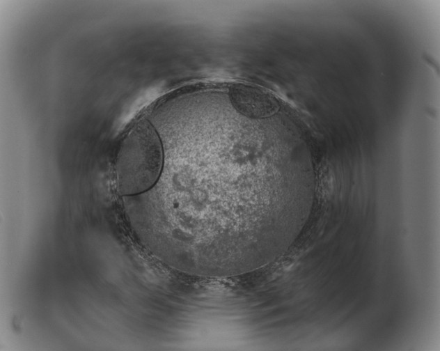 X0000103461255200809191803