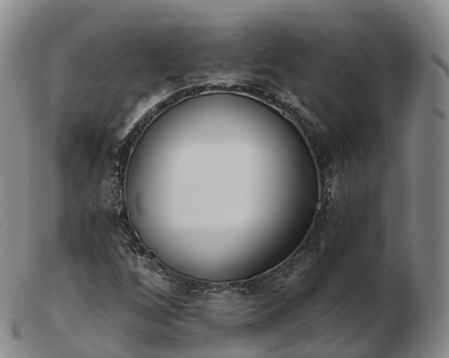 X0000103461256200809191803