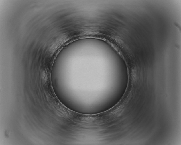 X0000103461257200809191803