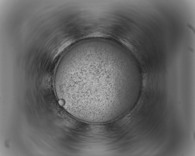 X0000103461258200809191803