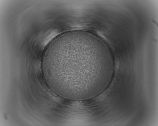 X0000103461259200809191803