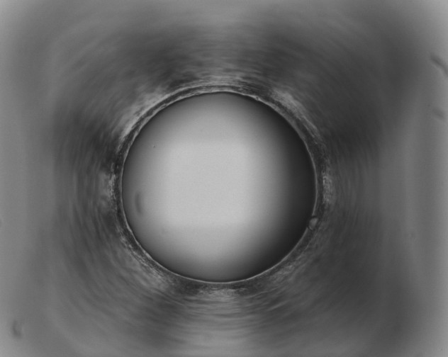 X0000103461260200809191803