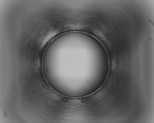 X0000103461261200809191803