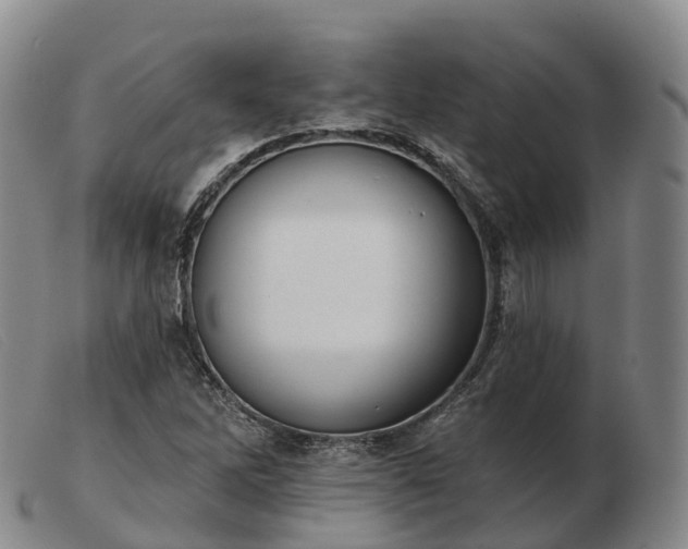 X0000103461262200809191803