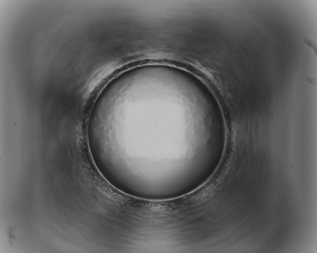 X0000103461263200809191803