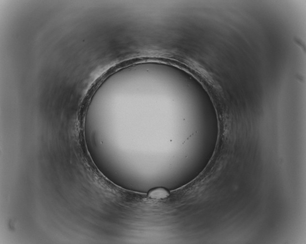 X0000103461264200809191803