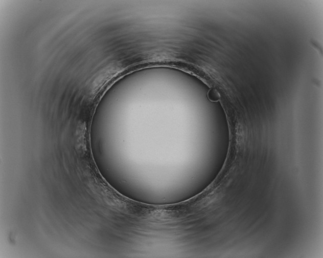 X0000103461265200809191803