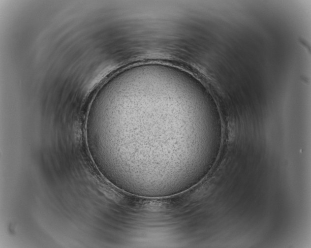 X0000103461266200809191803