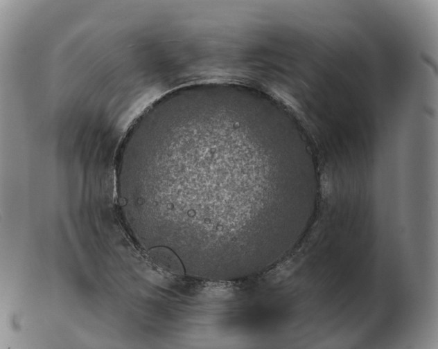 X0000103461267200809191803