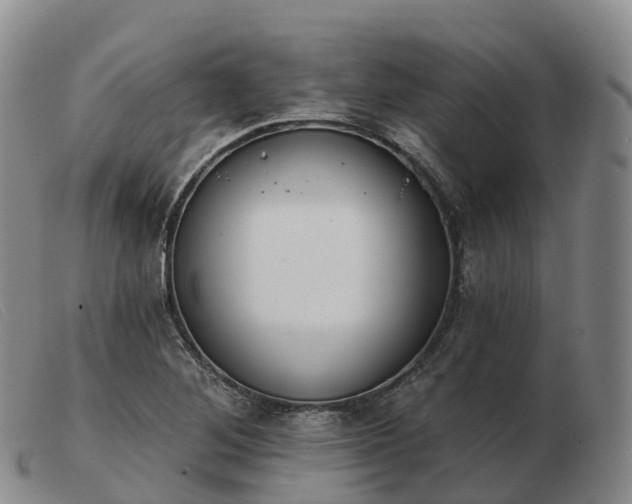 X0000103461268200809191803