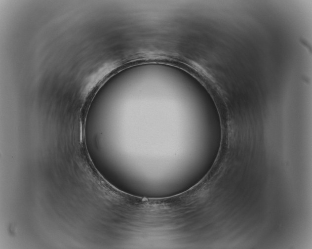 X0000103461269200809191803