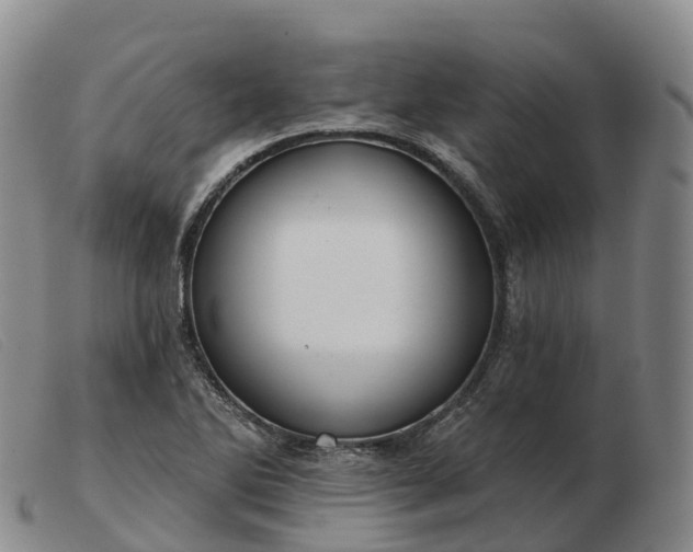 X0000103461270200809191803