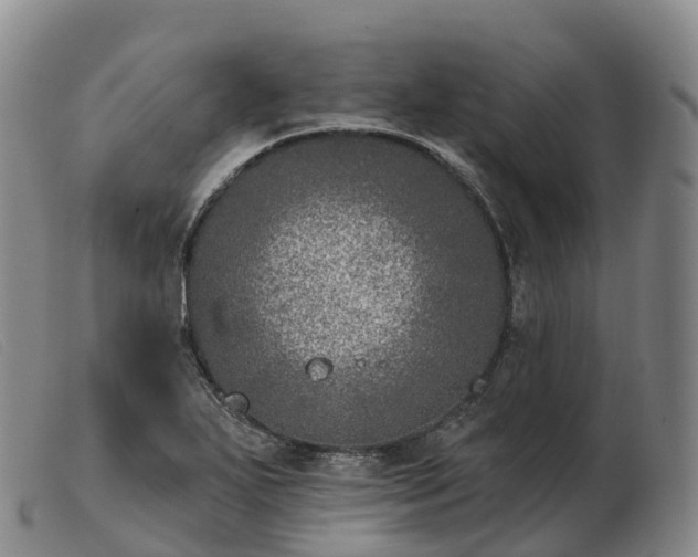 X0000103461271200809191803