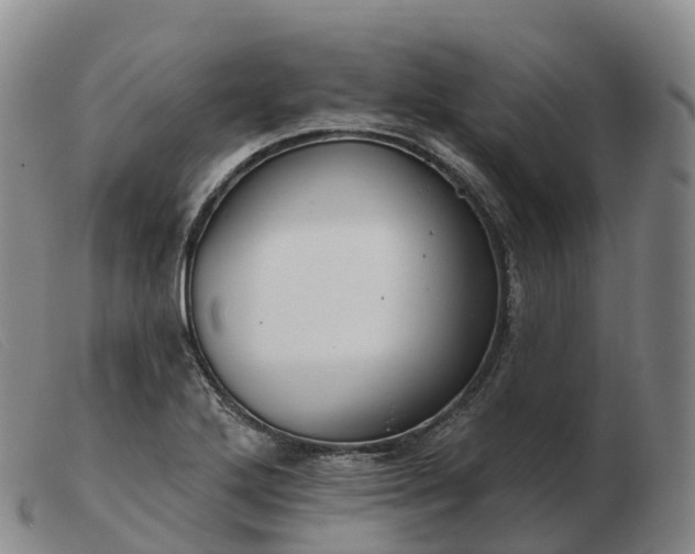 X0000103461272200809191803