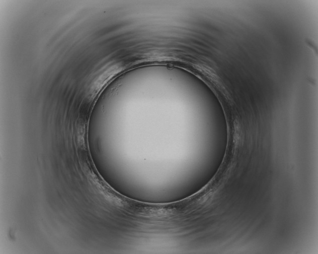 X0000103461273200809191803