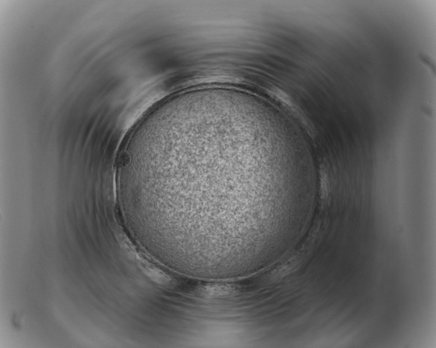X0000103461274200809191803