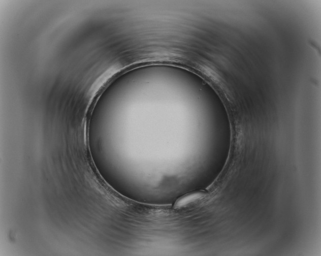 X0000103461275200809191803