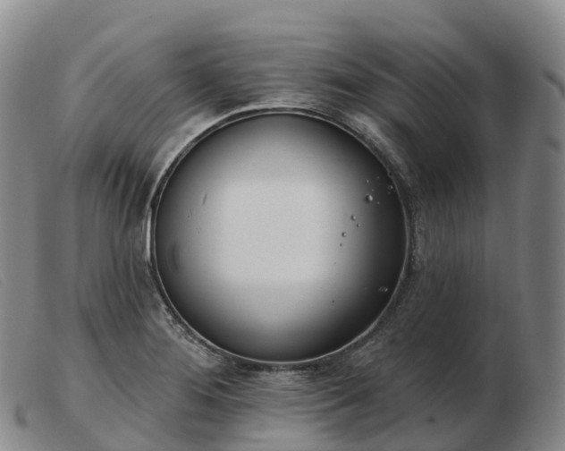 X0000103461276200809191803