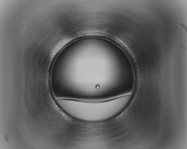 X0000103461277200809191803