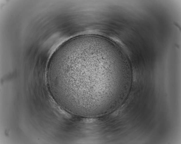X0000103461278200809191803