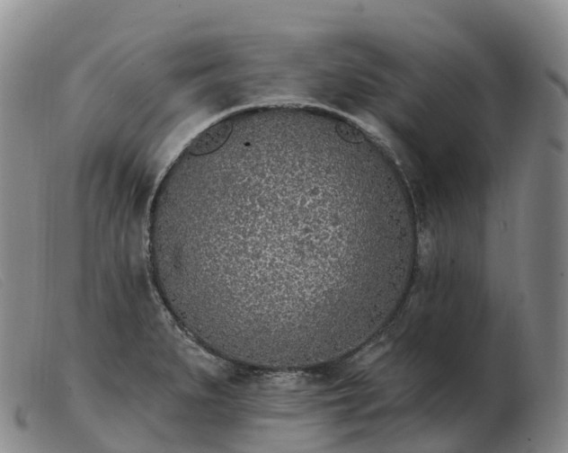 X0000103461279200809191803