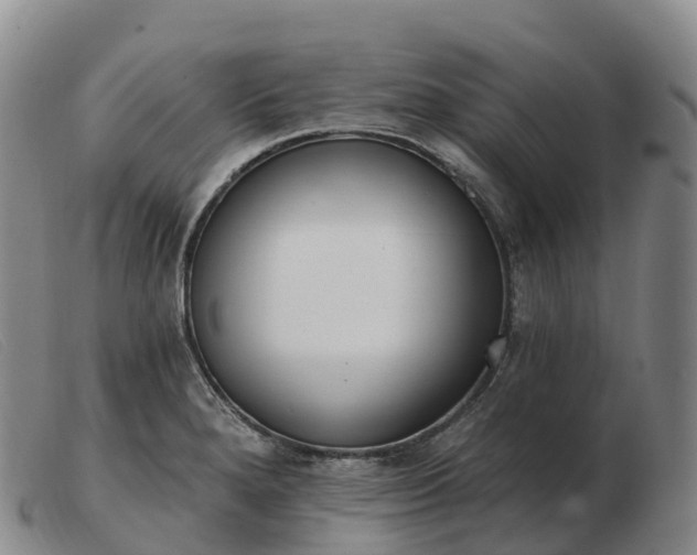 X0000103461280200809191803