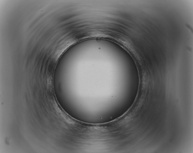 X0000103461281200809191803