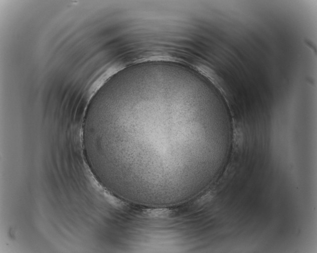 X0000103461282200809191803