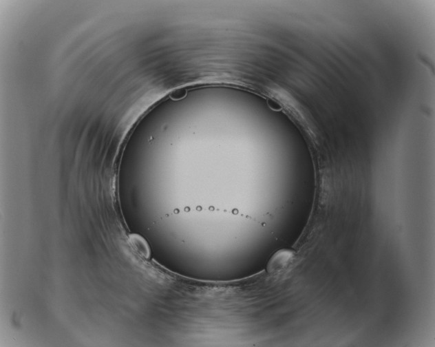 X0000103461284200809191803