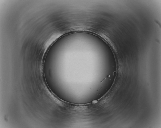 X0000103461285200809191803
