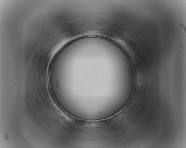 X0000103461286200809191803